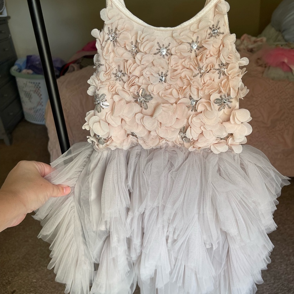 Tutu Du Monde Pink and Gray Floral Dress
